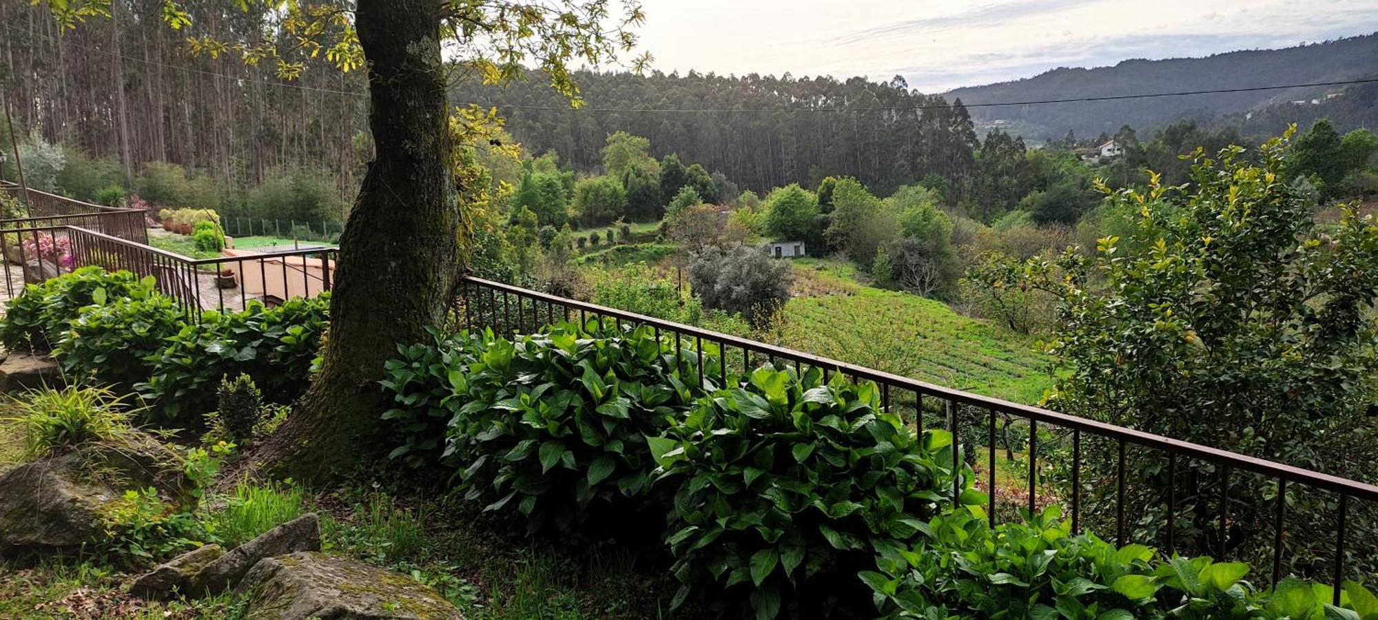 Вілла Quinta Da Costeira Север-ду-Вога Екстер'єр фото