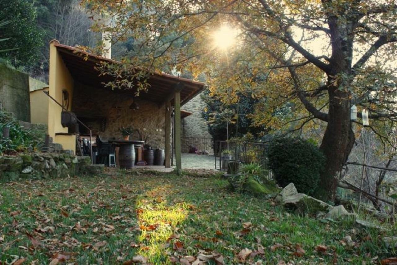 Вілла Quinta Da Costeira Север-ду-Вога Екстер'єр фото