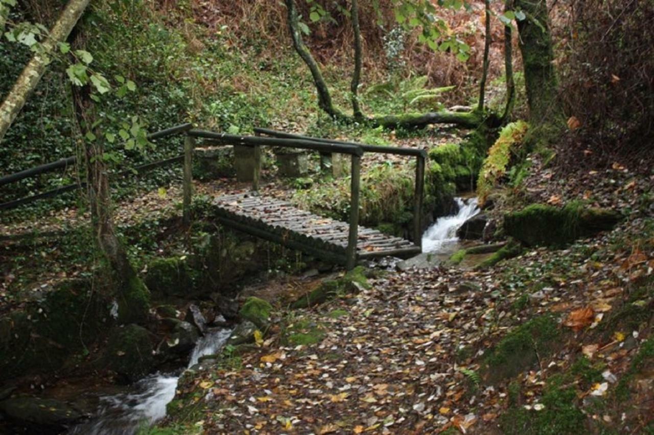 Вілла Quinta Da Costeira Север-ду-Вога Екстер'єр фото
