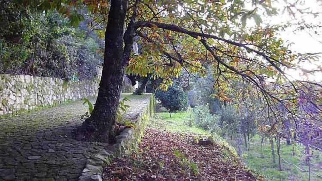 Вілла Quinta Da Costeira Север-ду-Вога Екстер'єр фото